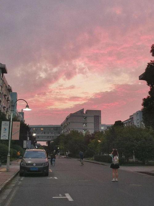 今日份吃瓜选手名单图片,揭秘吃瓜选手名单背后的精彩故事