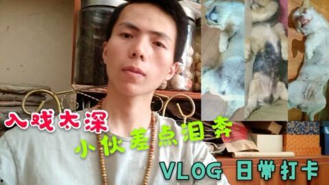 白猫龙女今日吃瓜视频最新章节,最新章节剧情亮点抢先看