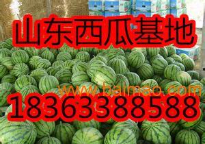 忻州今日贝贝瓜批发价格,实惠之选，品质保证