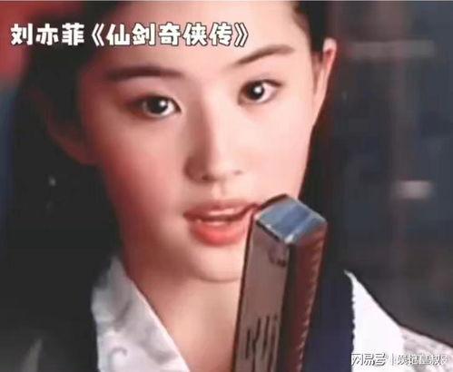 壮脸明星网红有哪些,揭秘网络红人的魅力与影响力