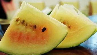 醇奶吊瓜今日价格,市场行情一览