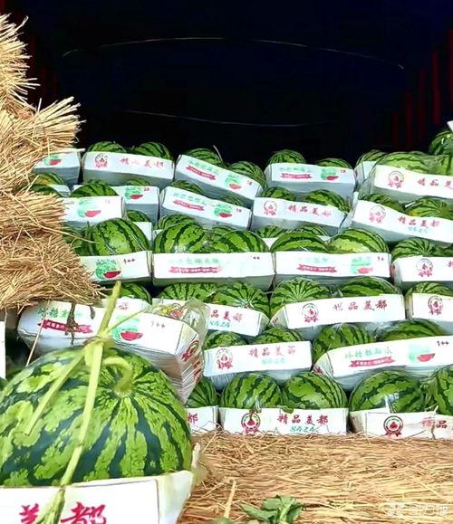 苏州今日瓜价格最新行情,新鲜上市，价格波动一览