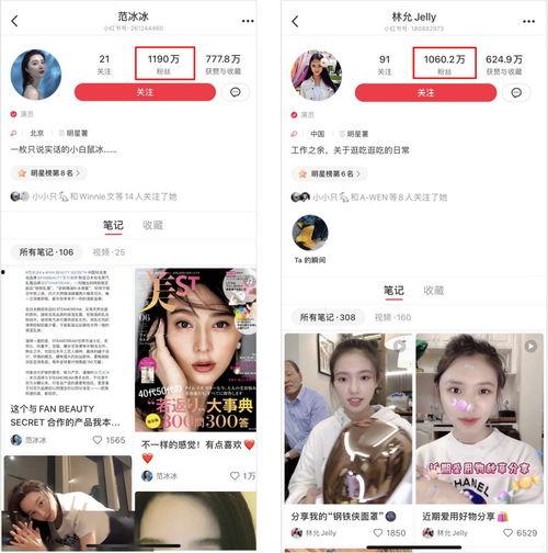 怎么带明星网红的货