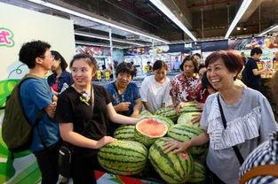今日头条砂瓜产业发展,今日头条聚焦绿色农业发展
