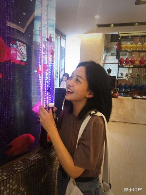 甘肃小明星网红有哪些,网络新势力崛起