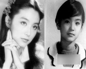 明星网红时代照片大全集,明星网红时代照片大全集掠影