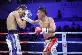 明星网红打拳击事件,一场意外的“拳”击秀