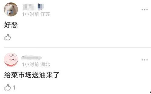 明星网红凭什么收入高,揭秘明星网红高收入背后的秘密