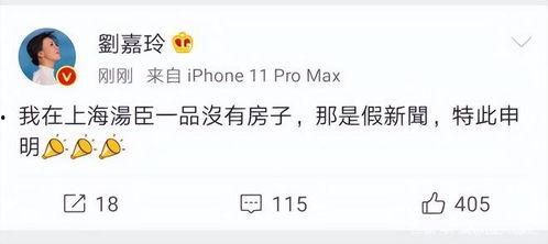 明星网红凭什么收入高,揭秘明星网红高收入背后的秘密