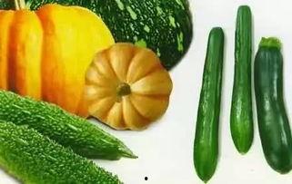 最新吃瓜今日吃瓜,揭秘娱乐圈最新热点事件