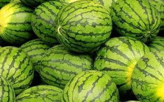 最新吃瓜今日吃瓜,揭秘娱乐圈最新热点事件