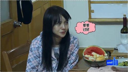 明星网红早餐有哪些品牌,热门选择揭秘