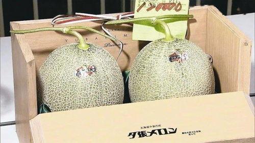 29号蜜瓜价格今日行情,价格波动解析与市场动态一览”