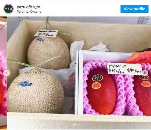 29号蜜瓜价格今日行情,价格波动解析与市场动态一览”