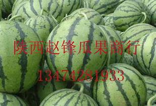 哈密瓜今日最新价格行情