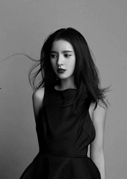 公务员老板明星网红,跨界融合的多元人生轨迹