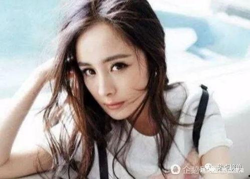 大眼明星网红排名榜,盘点最具影响力的璀璨星辉