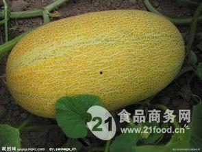 海南哈密瓜今日行情走势,今日涨跌波动，市场动态解析