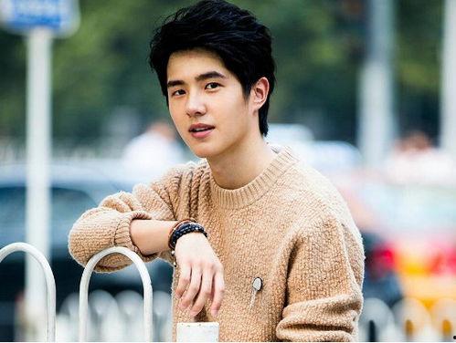 麻城明星网红有哪些名字