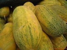 哈密瓜今日价格行情2月,市场波动与消费者关注”