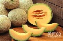 哈密瓜今日价格行情2月,市场波动与消费者关注”