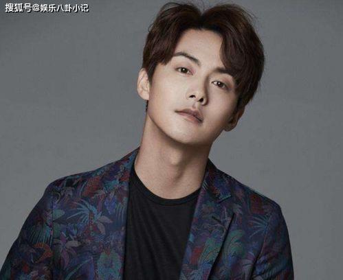 帅弟弟明星网红是谁,揭秘网络红人的魅力与影响力