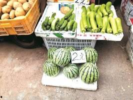 二瓜今日价格行情,价格波动解析与市场趋势洞察”