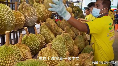 今日头条榴莲瓜园,探索热带水果的奇妙世界