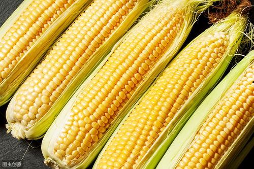 瓜州今日玉米价格表,今日行情一览