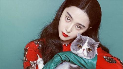 哪个明星网红爱喝巴黎水,明星爱喝的时尚饮品揭秘