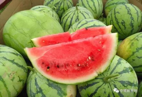 今日吃瓜往日吃瓜,一场全民娱乐的演变之旅