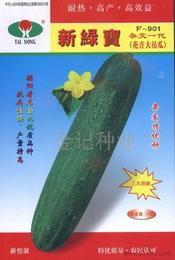 今日吊瓜行情价格表